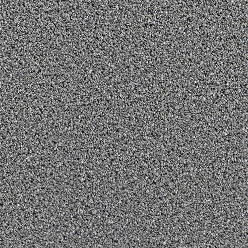 Dazzling - Orion