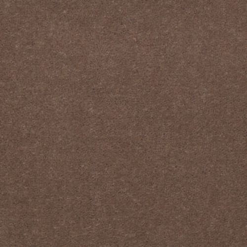 Emphatic 30 - Koala