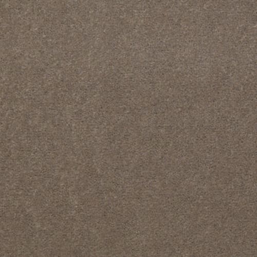 Emphatic 30 - Top Taupe