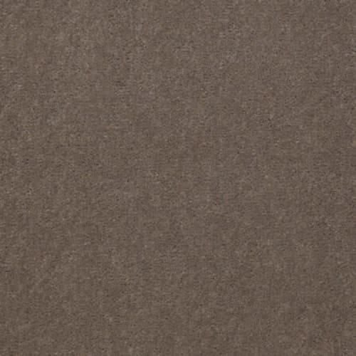 Emphatic 36 - Top Taupe