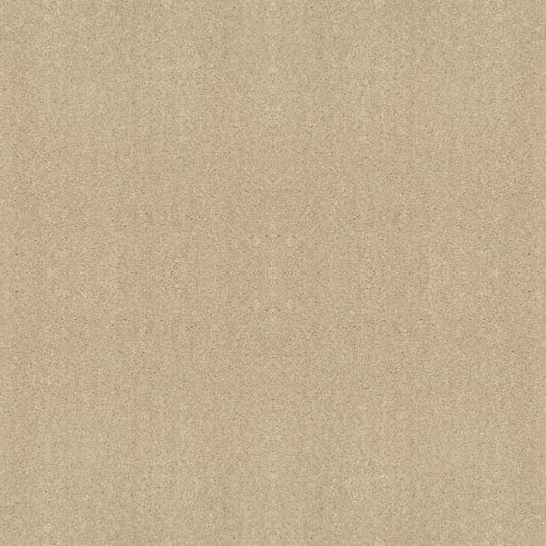 Full Court 12' - Butter Cream