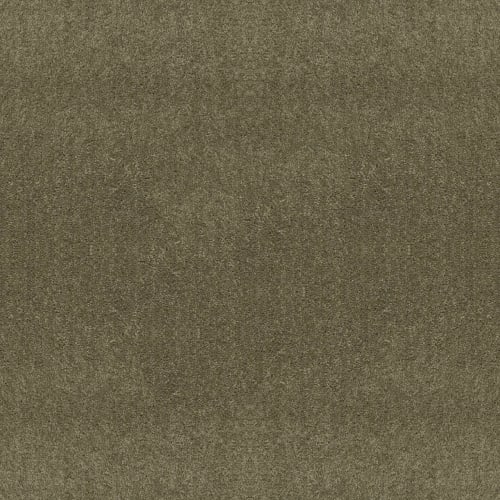 Full Court 12' - Aloe