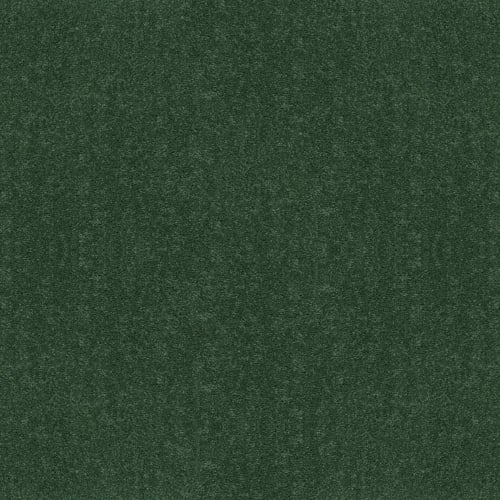 Full Court 12' - Going Green