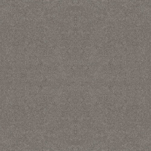 Full Court 12' - Dolphin