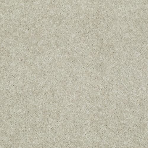 Essay Ii 15' - Sand Dollar