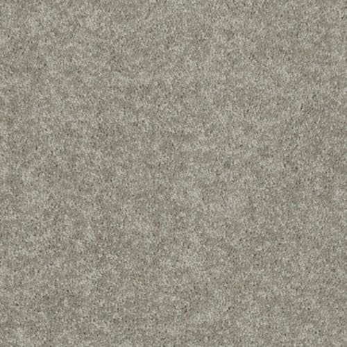 Essay Ii 15' - Fawn