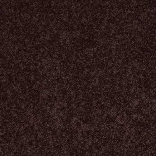 Full Court 15' - Royal Purple