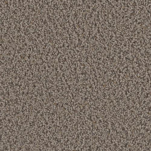 Toast Of The Town - Rugged Suede