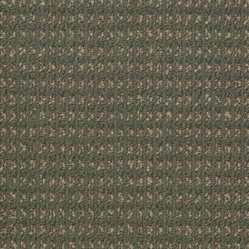 Modern Traditions - Clover