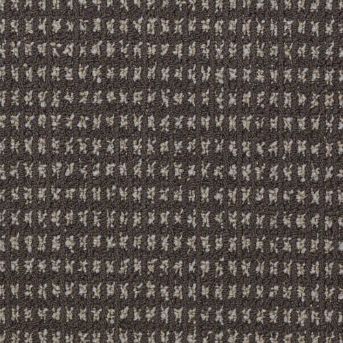 Modern Traditions - Bark