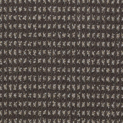 Modern Traditions - Bark