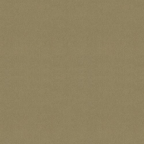 Emphatic Ii 30 - Parchment