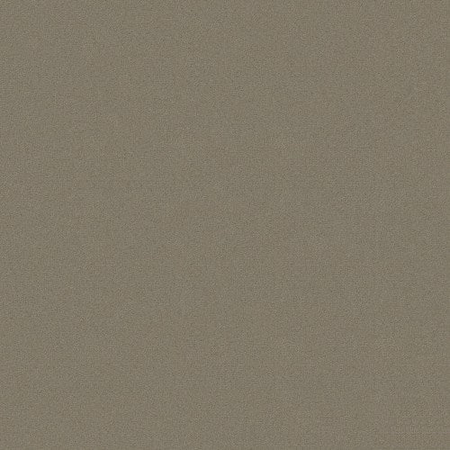 Emphatic Ii 30 - Gray Hare