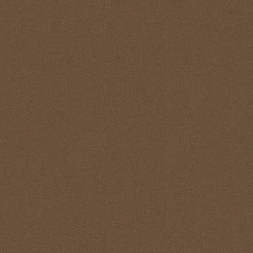 Emphatic Ii 30 - Koala