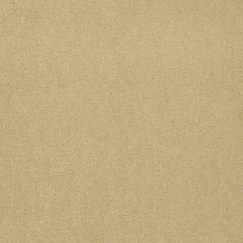 Emphatic Ii 36 - Sun Valley