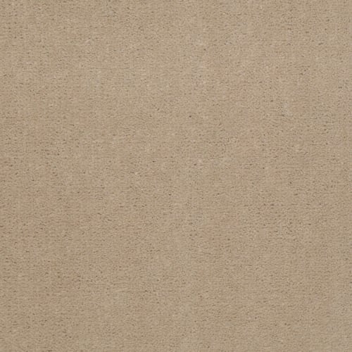 Emphatic Ii 36 - Blondwood