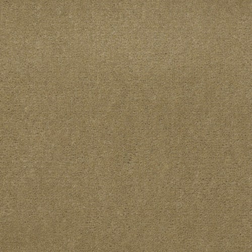 Emphatic Ii 36 - Butterscotch