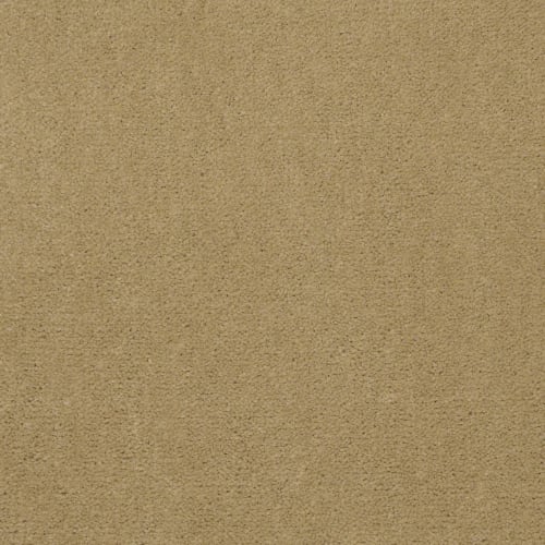 Emphatic Ii 36 - Honeywheat