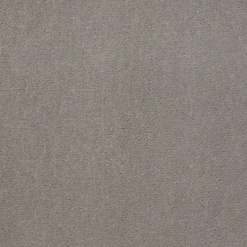 Emphatic Ii 36 - Gray Hare