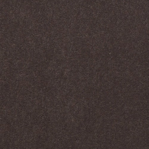Emphatic Ii 36 - Raisin