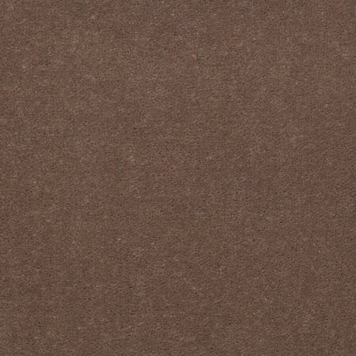 Emphatic Ii 36 - Koala