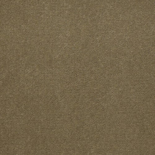 Emphatic Ii 36 - Olive Twist
