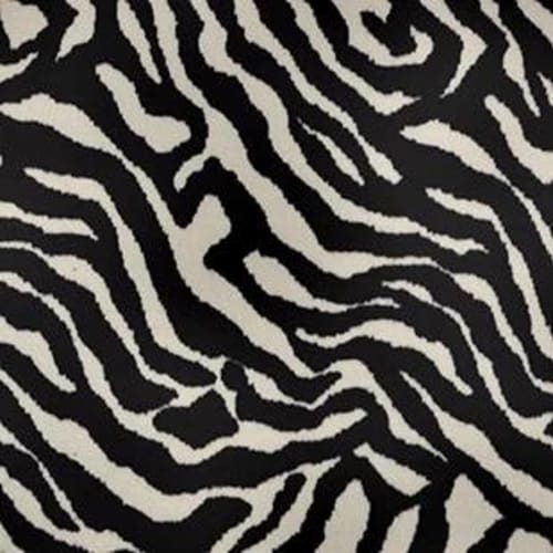 Zebra - Migrant Beauty