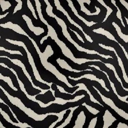 Zebra - Migrant Beauty