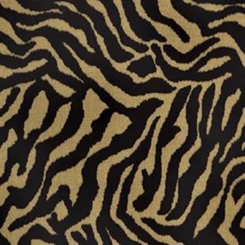 Zebra - Grazer