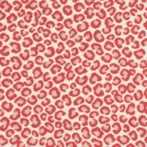 Cheetah - Hang Loose