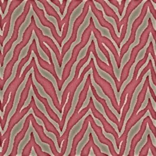 Zesty Zebra - Wild At Heart