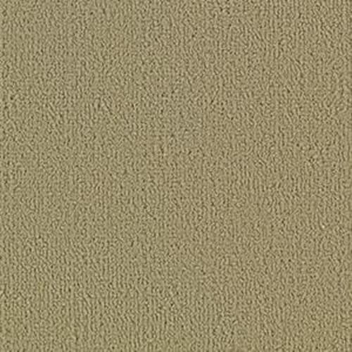 Color Accents Bl - Gilded