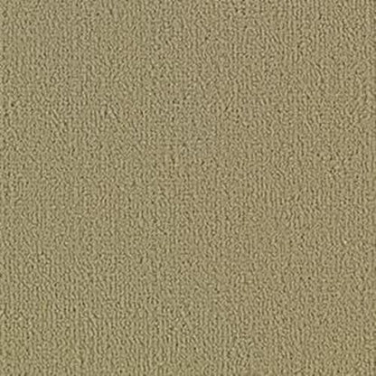 Color Accents Bl - Gilded