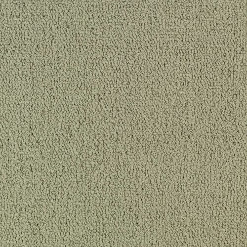 Color Accents Bl - Light Taupe