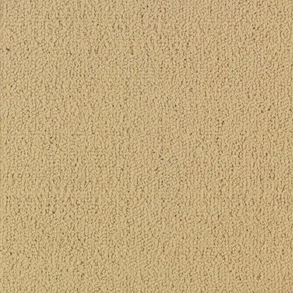 Color Accents Bl - Flax