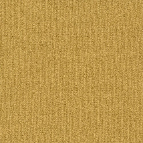 Color Accents Bl - Ochre