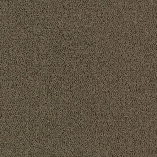 Color Accents Bl - Timber