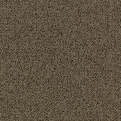 Color Accents Bl - Timber