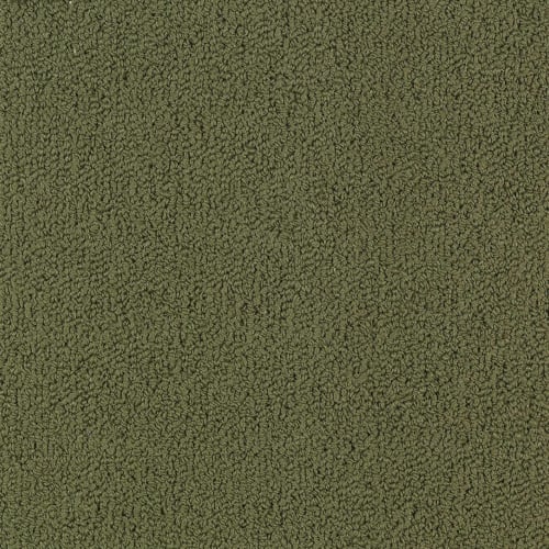 Color Accents Bl - Ivy