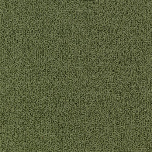 Color Accents Bl - Cactus