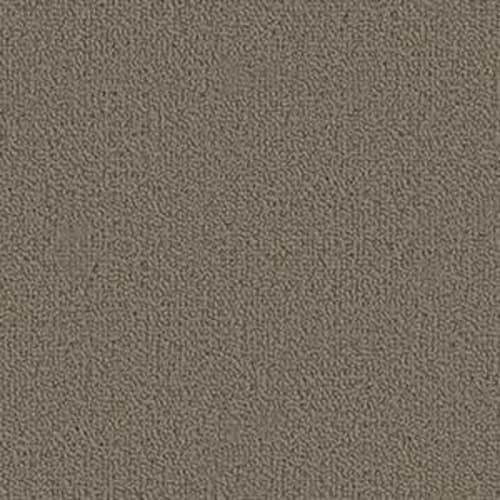 Color Accents Bl - Lichen