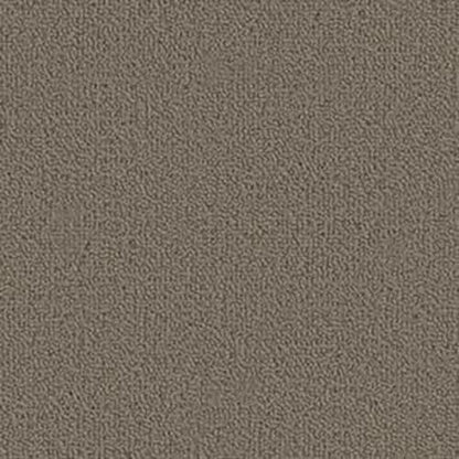 Color Accents Bl - Lichen