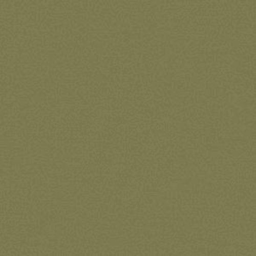 Color Accents Bl - Fescue