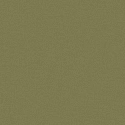 Color Accents Bl - Fescue