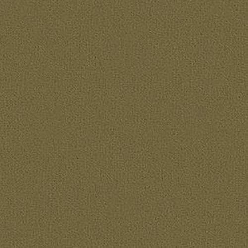 Color Accents Bl - Aloe