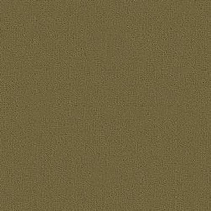 Color Accents Bl - Aloe