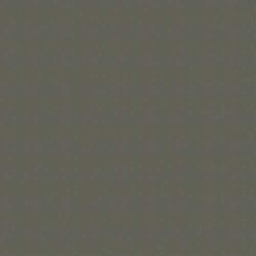 Color Accents Bl - Dolphin