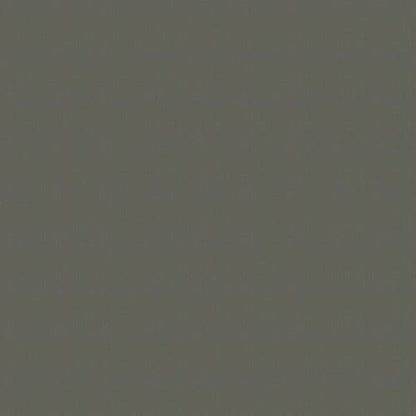 Color Accents Bl - Dolphin