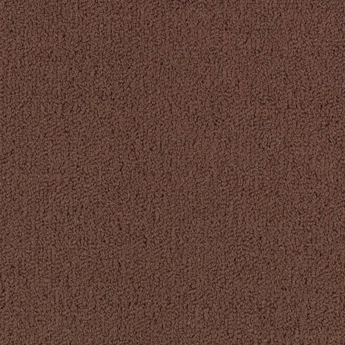 Color Accents Bl - Chocolate