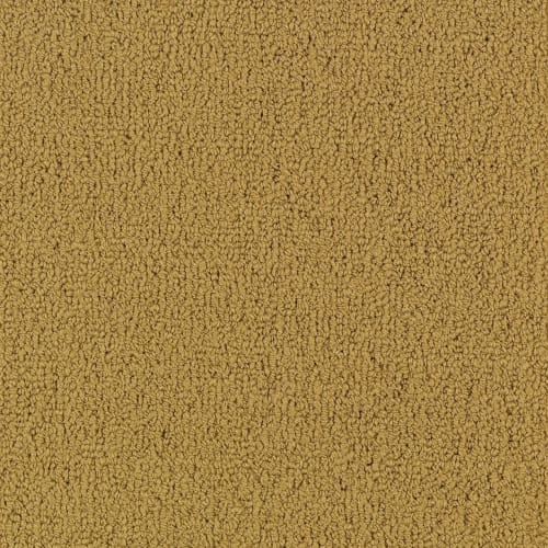 Color Accents Bl - Brasserie